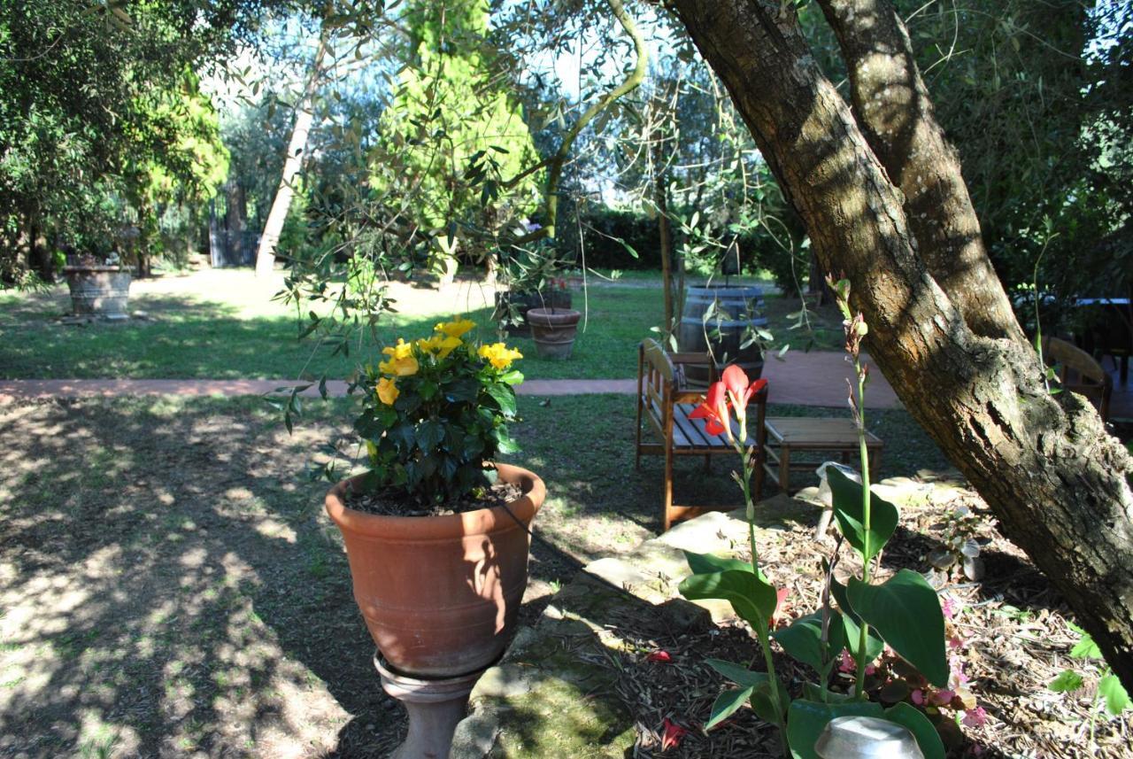 Agriturismo La Nicchia Castelnuovo Berardenga Zewnętrze zdjęcie