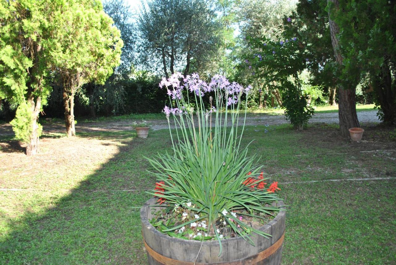 Agriturismo La Nicchia Castelnuovo Berardenga Zewnętrze zdjęcie