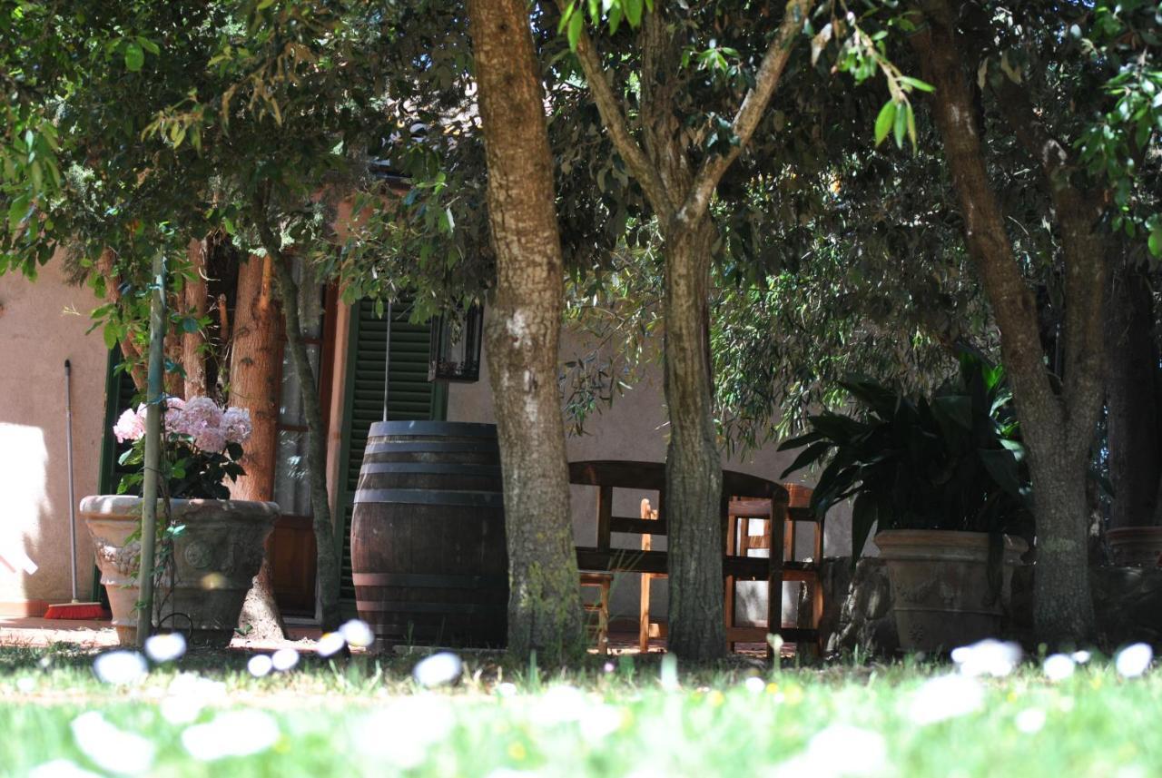 Agriturismo La Nicchia Castelnuovo Berardenga Zewnętrze zdjęcie