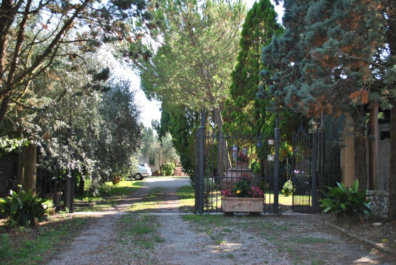 Agriturismo La Nicchia Castelnuovo Berardenga Zewnętrze zdjęcie