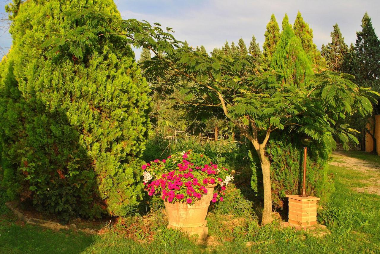 Agriturismo La Nicchia Castelnuovo Berardenga Zewnętrze zdjęcie