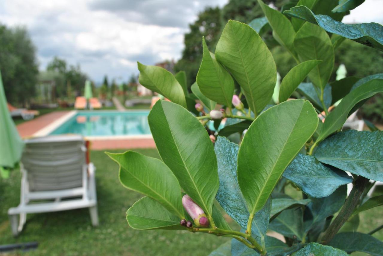 Agriturismo La Nicchia Castelnuovo Berardenga Zewnętrze zdjęcie