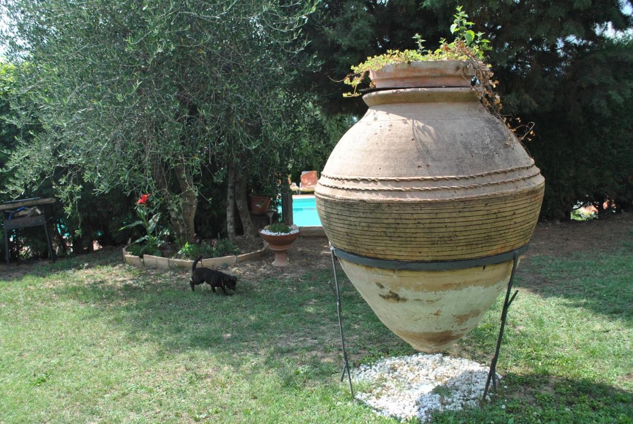 Agriturismo La Nicchia Castelnuovo Berardenga Zewnętrze zdjęcie